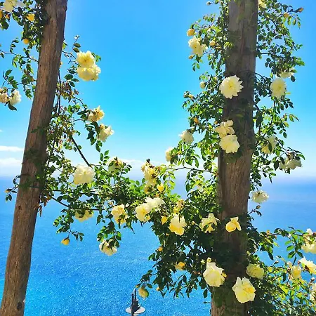 L'antico Borgo Dei Limoni 2*
